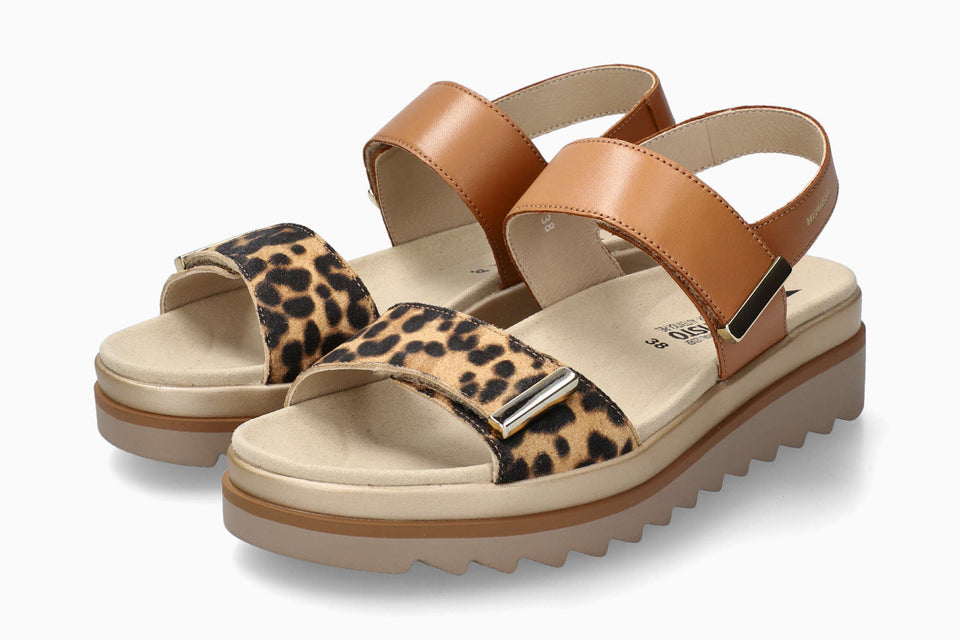 Dominica - Brown Bengal