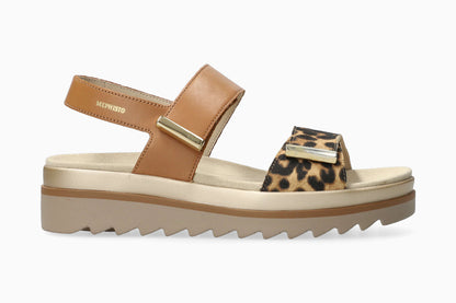 Dominica - Brown Bengal