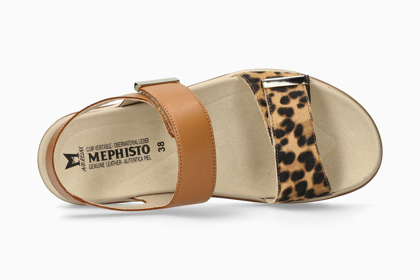 Dominica - Brown Bengal