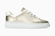 Dotty - Gold