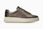 Dotty - Walnut