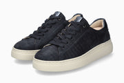 Dotty - Navy