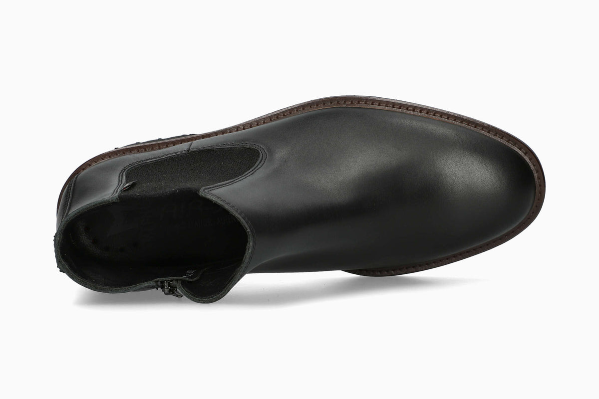 Bayard - Black