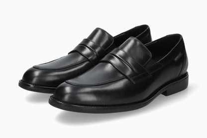 Fergus - Black Antica