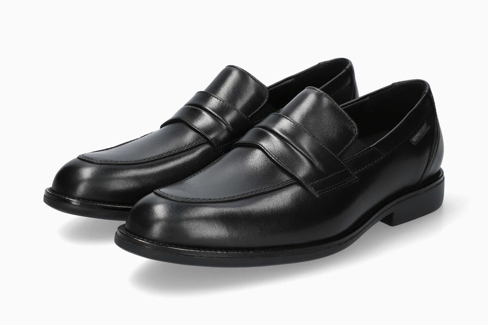 Fergus - Black Antica