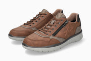Allrounder Majestro Chestnut