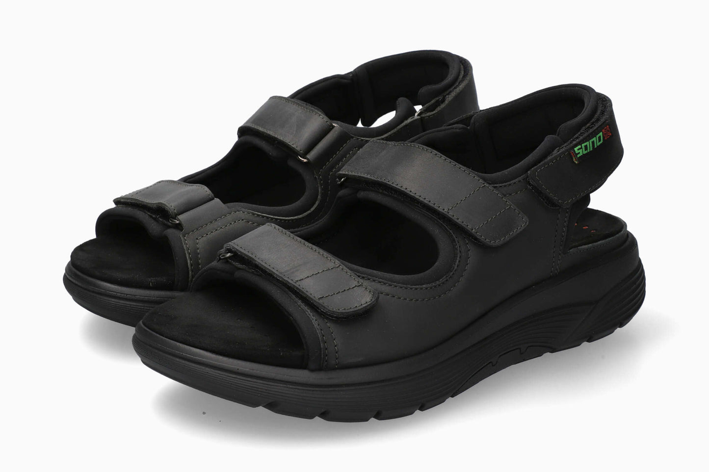 Wilfried - Black Grizzly