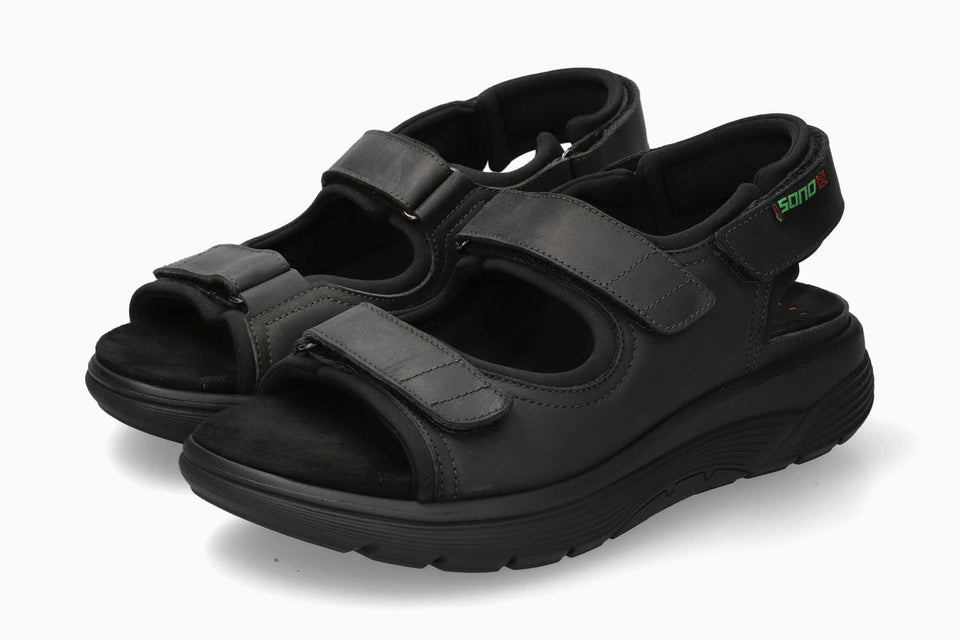 Wilfried - Black Grizzly