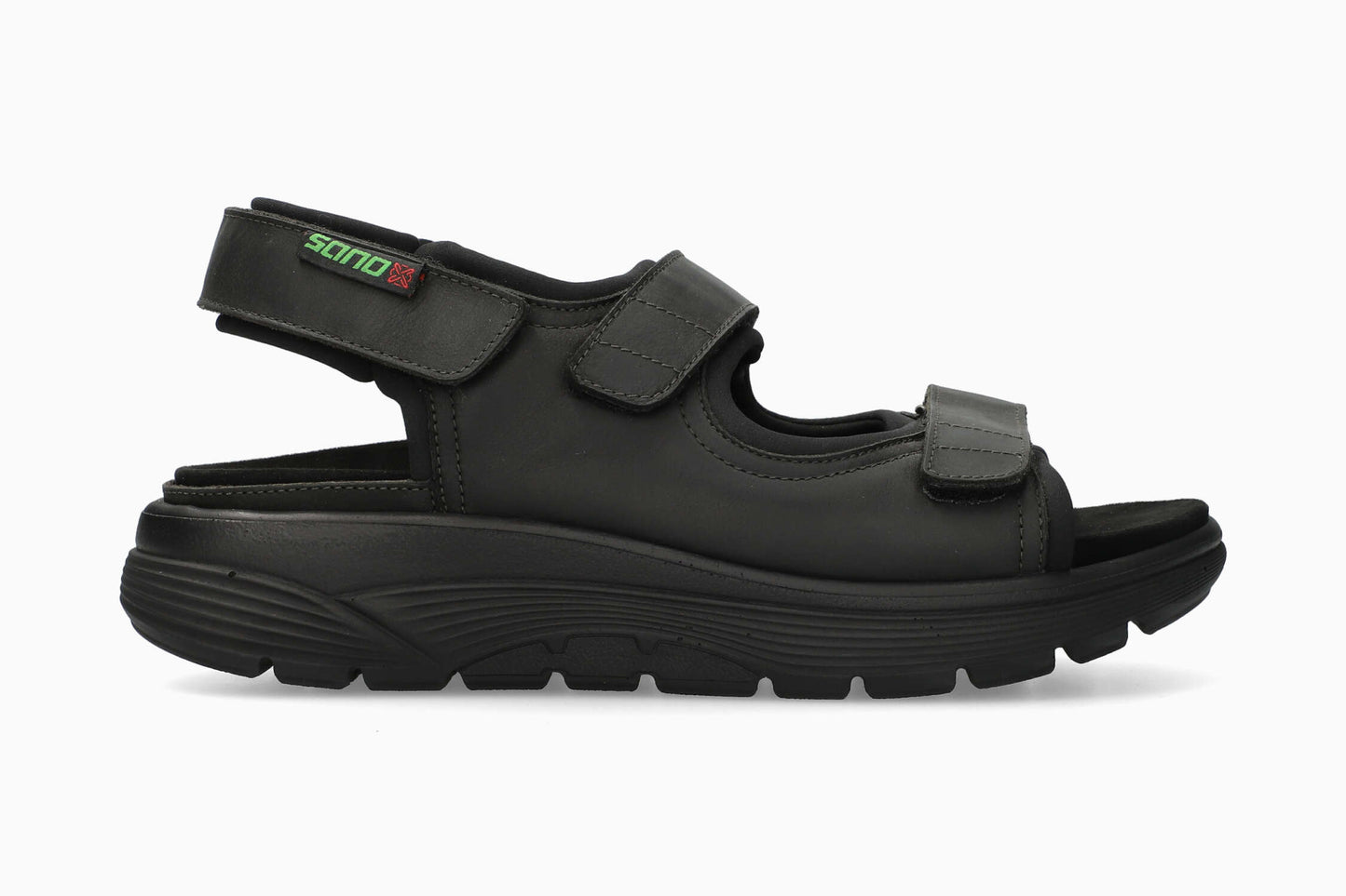 Wilfried - Black Grizzly