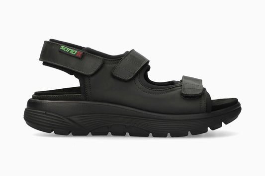 Wilfried - Black Grizzly