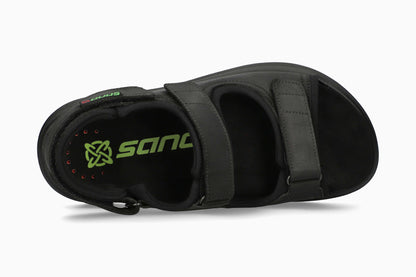 Wilfried - Black Grizzly