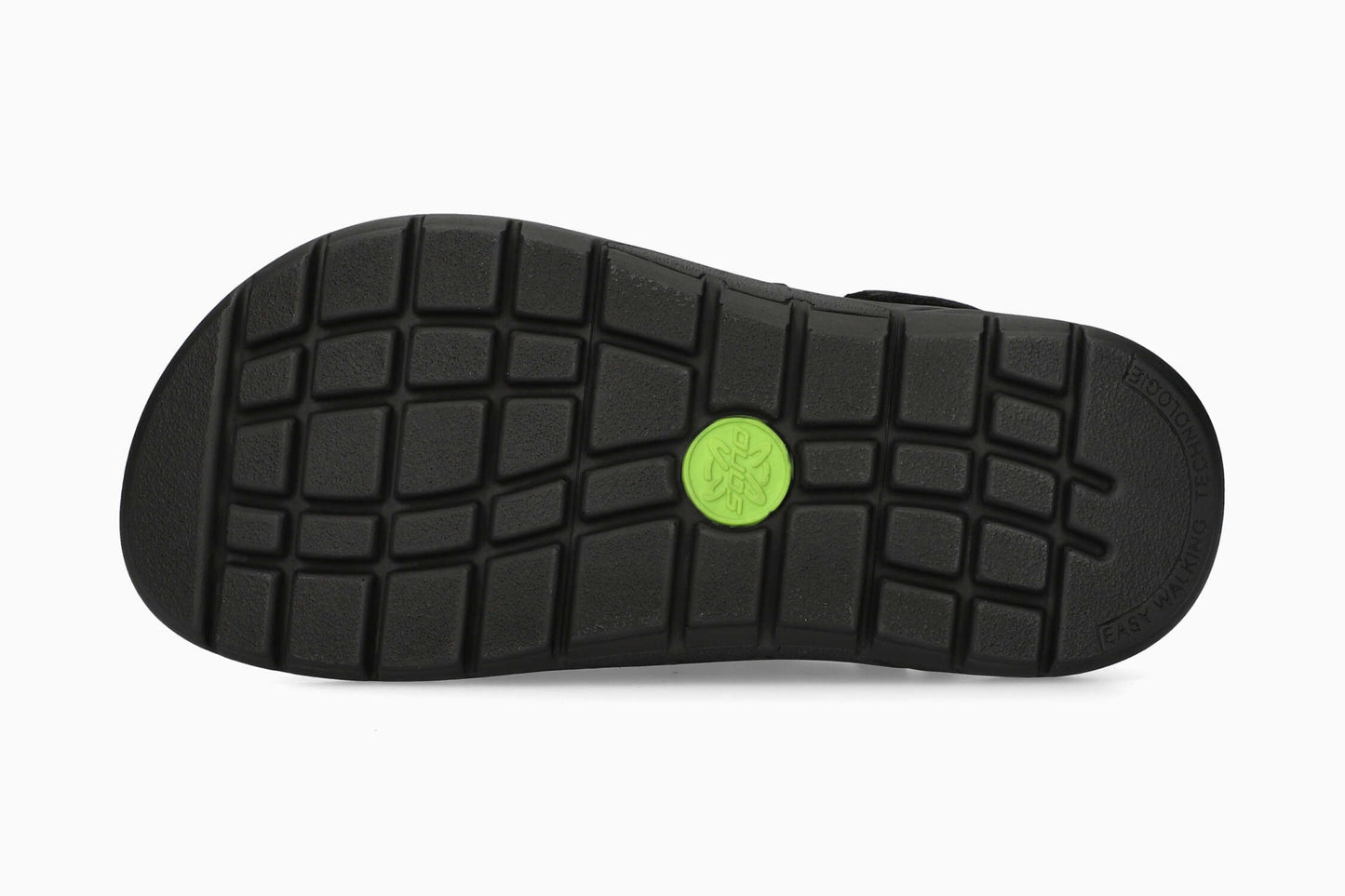 Wilfried - Black Grizzly