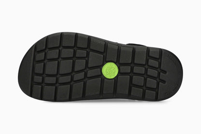 Wilfried - Black Grizzly