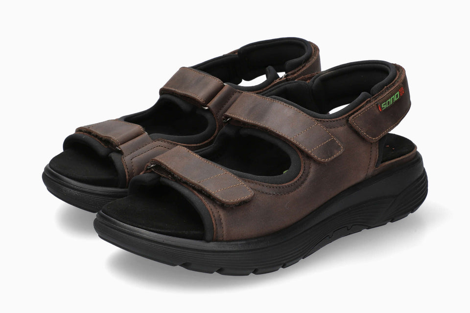 Wilfried - Brown Grizzly