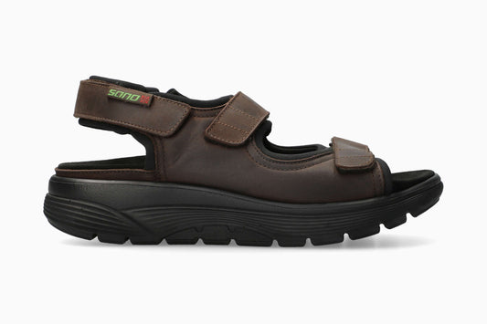 Wilfried - Brown Grizzly